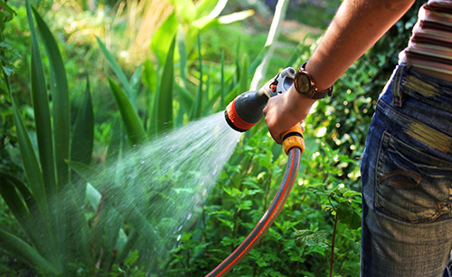 Irrigation Services