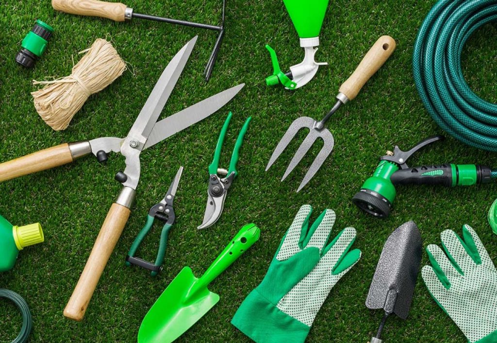 Why We Love Professional Garden
Cleaning Services (and You Should,
Too!)